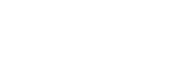 Logo goanwalt.ch weiss